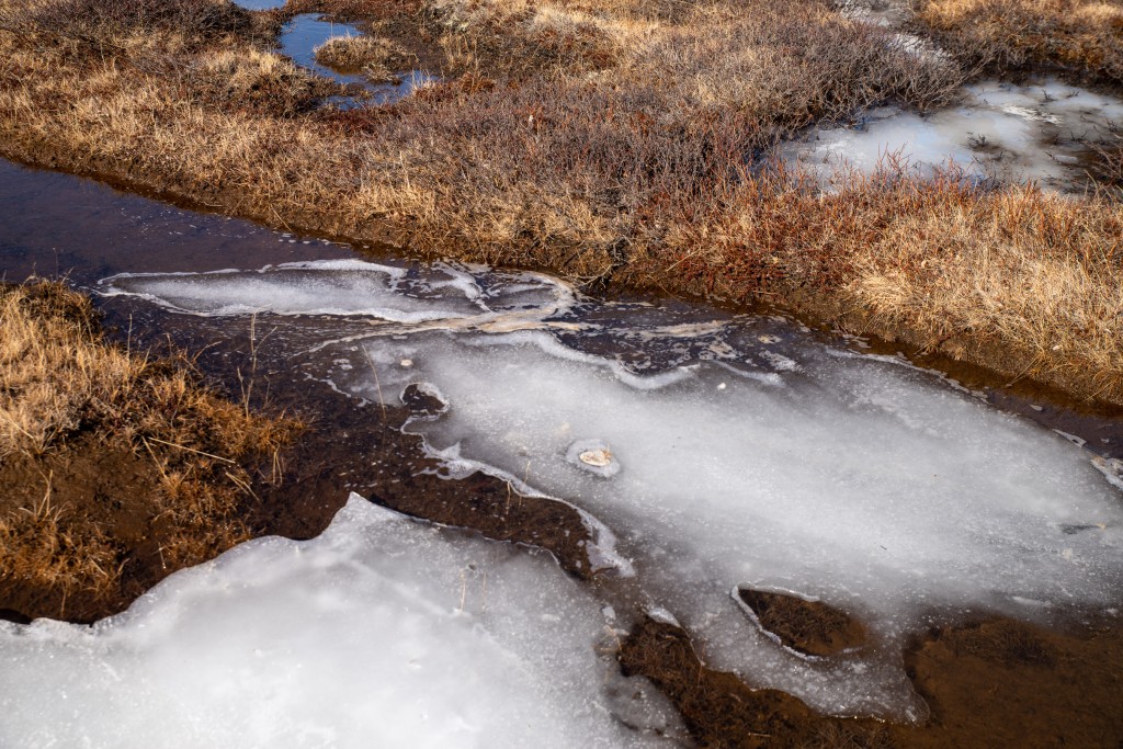 04-16-21-15.45.50.DNG