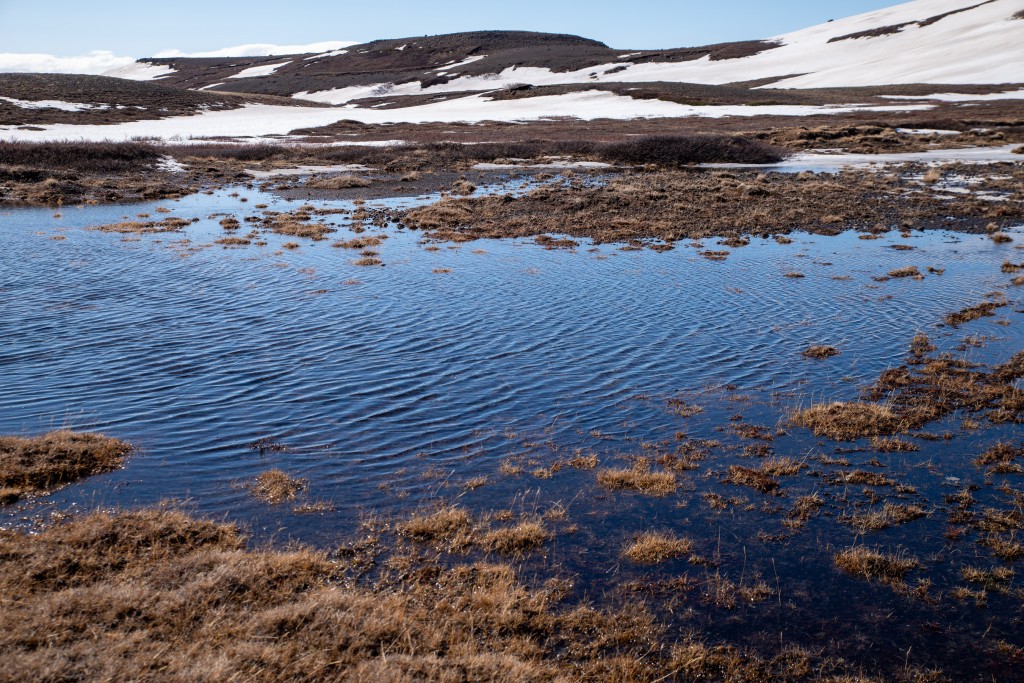 04-16-21-15.46.23.DNG