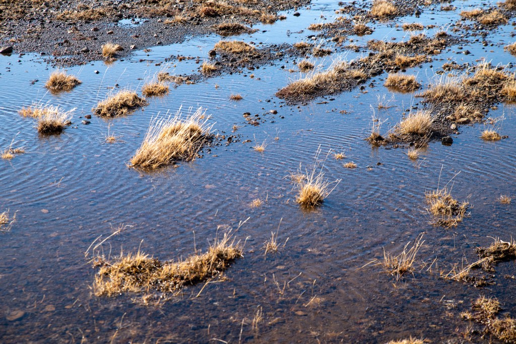 04-16-21-15.46.44.DNG