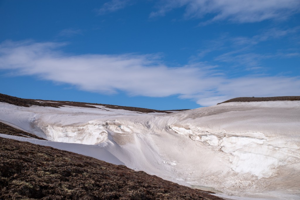 04-16-21-15.53.22.DNG