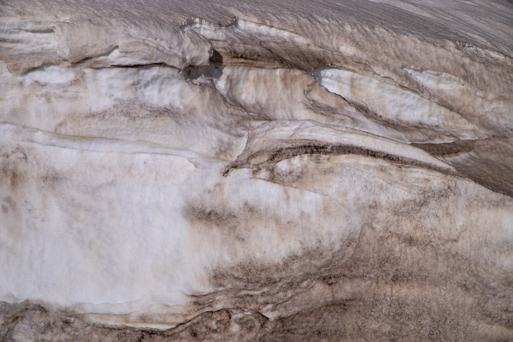 04-16-21-15.55.38.DNG