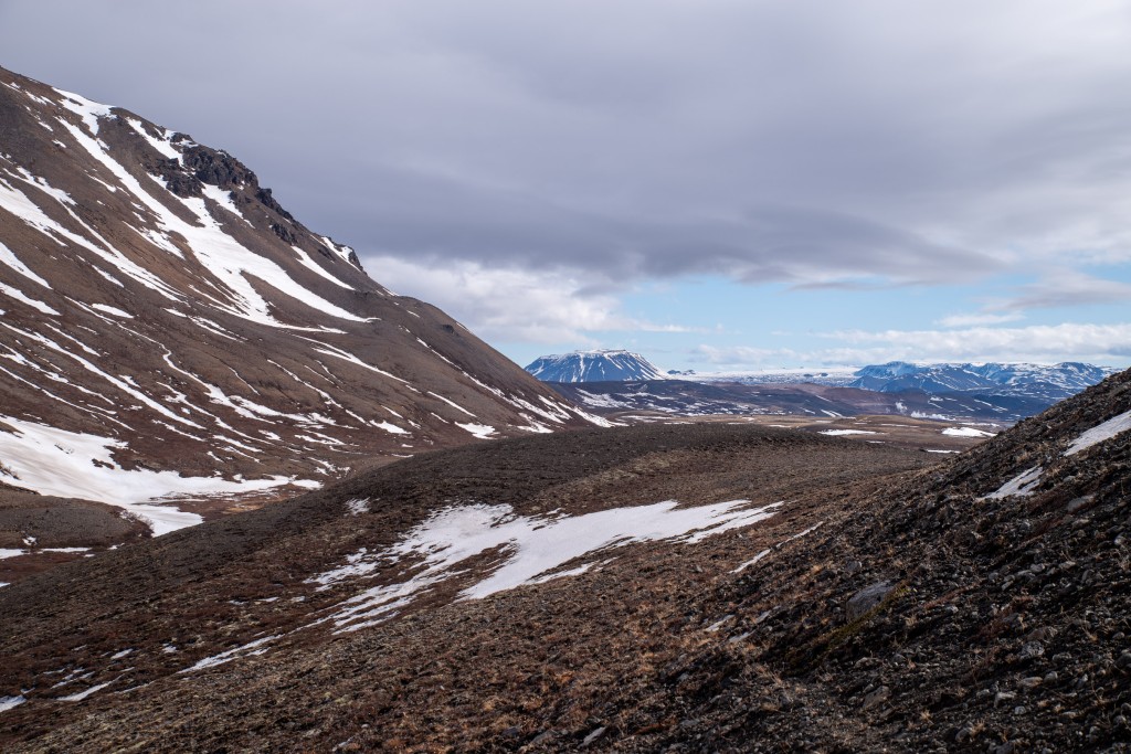 04-16-21-15.58.25.DNG