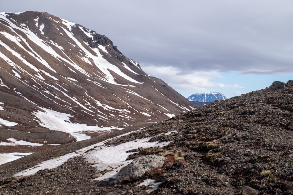 04-16-21-15.59.06.DNG