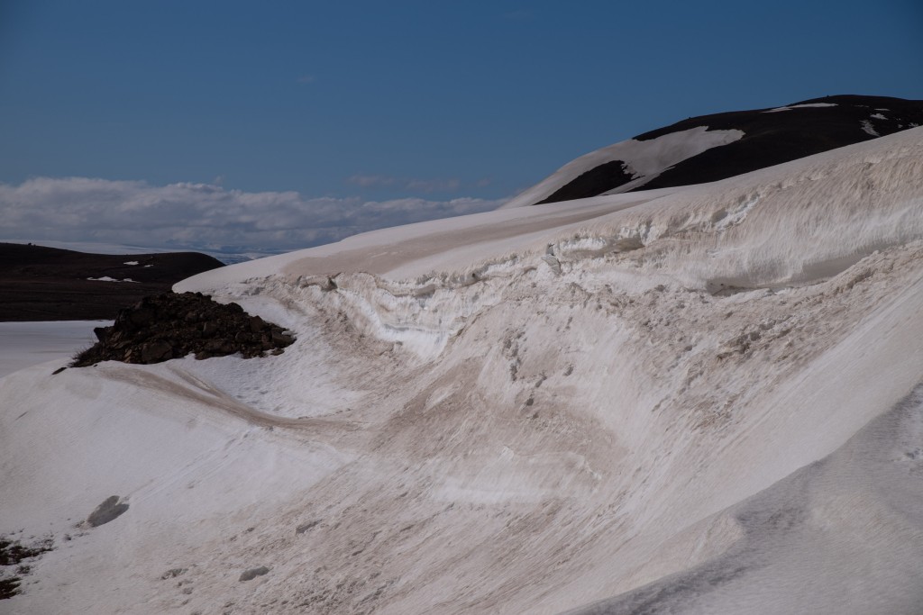 04-16-21-16.06.48.DNG