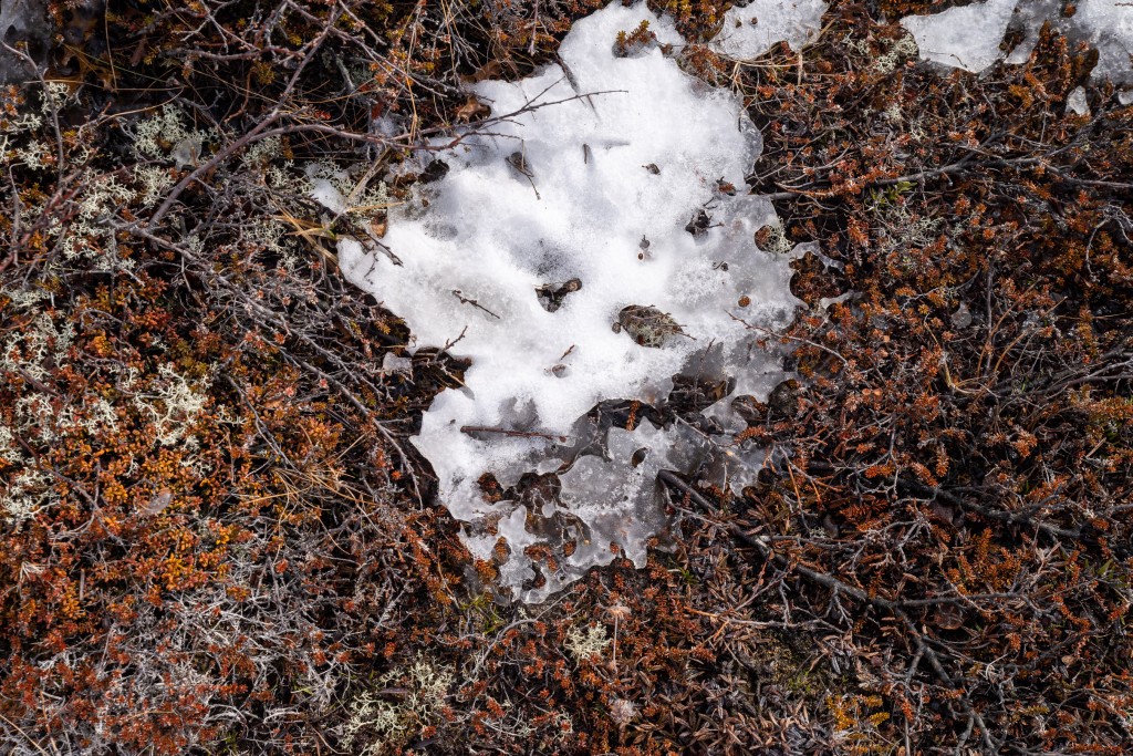 04-16-21-16.19.24.DNG