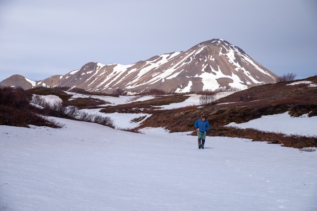 04-16-21-16.48.01.DNG