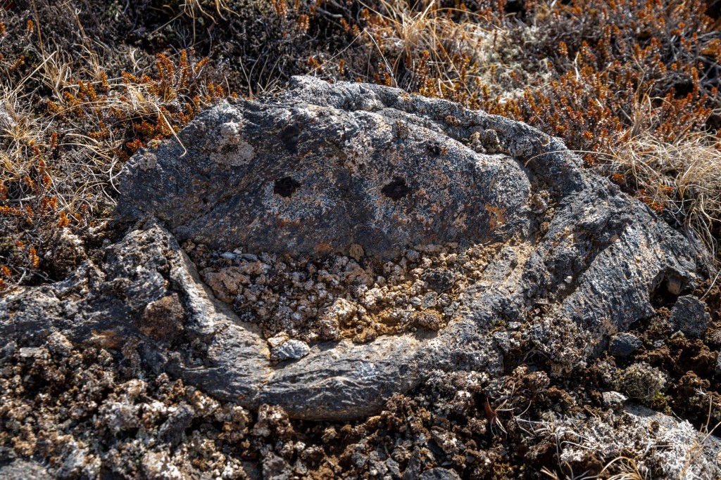 04-16-21-16.52.16.DNG