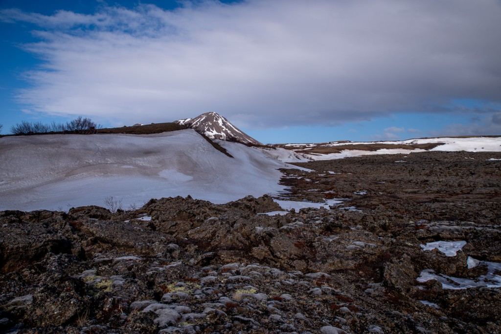 04-16-21-17.01.25.DNG