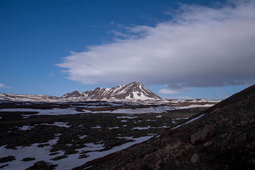 04-16-21-17.08.17.DNG