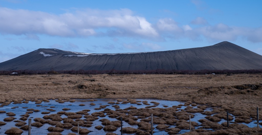 04-16-21-17.24.56.DNG