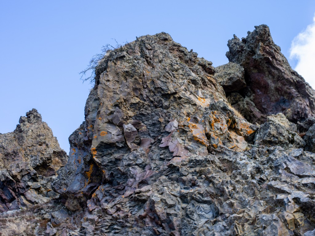 04-20-21-14.46.23.DNG