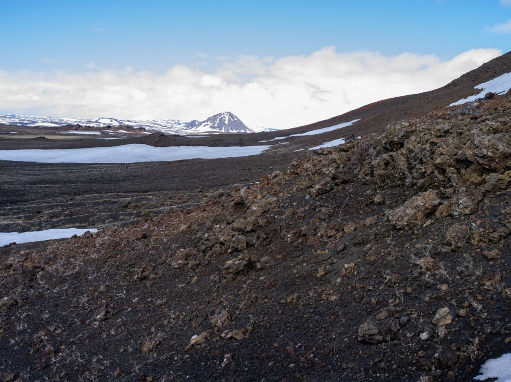 04-20-21-14.50.35.DNG