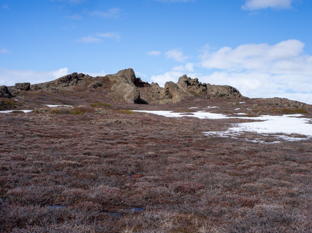 04-20-21-15.03.46.DNG