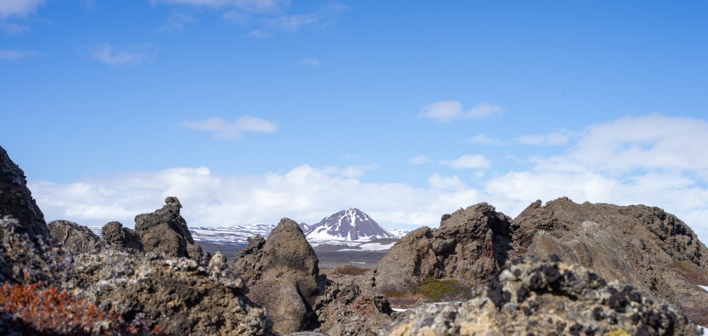 04-20-21-15.07.57.DNG