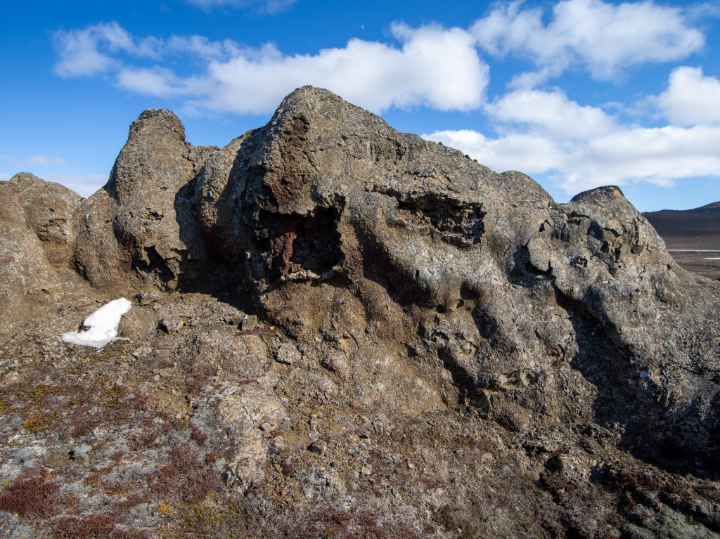 04-20-21-15.13.11.DNG