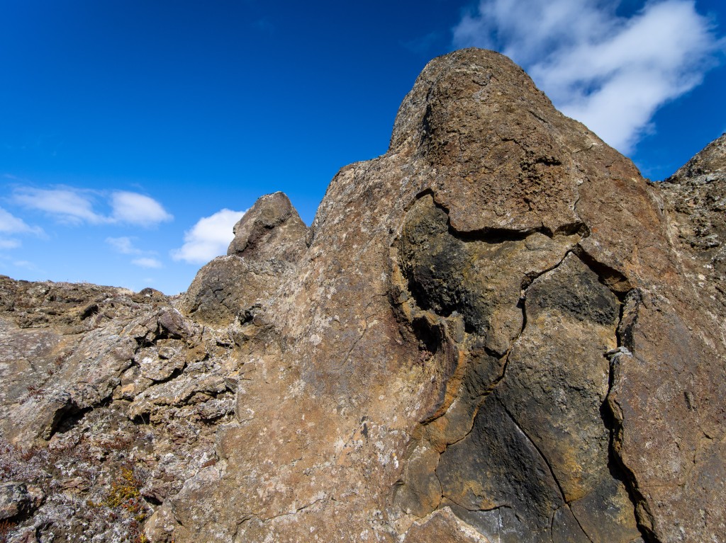 04-20-21-15.14.18.DNG