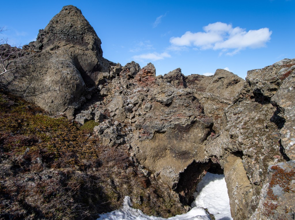 04-20-21-15.16.36.DNG