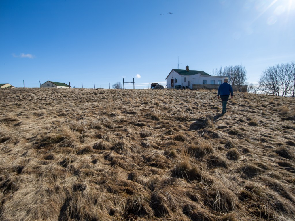 04-20-21-16.57.06.DNG