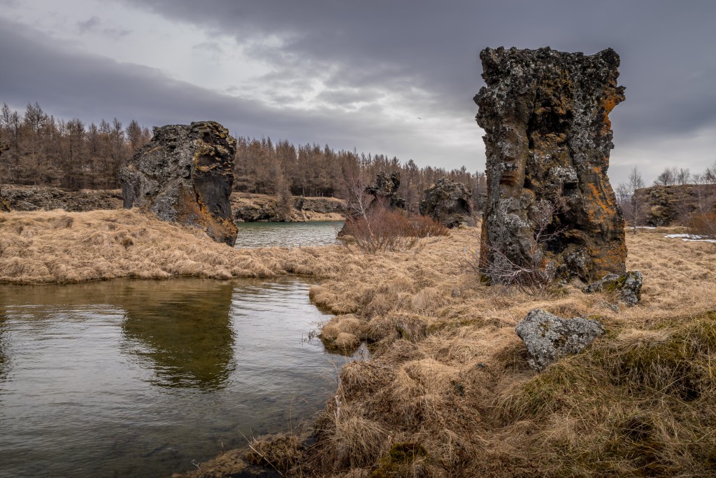 04-21-21-13.54.59.DNG