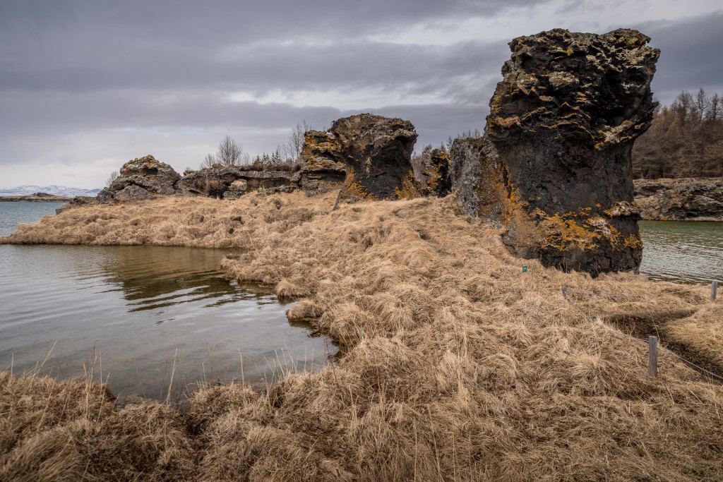 04-21-21-13.56.02.DNG