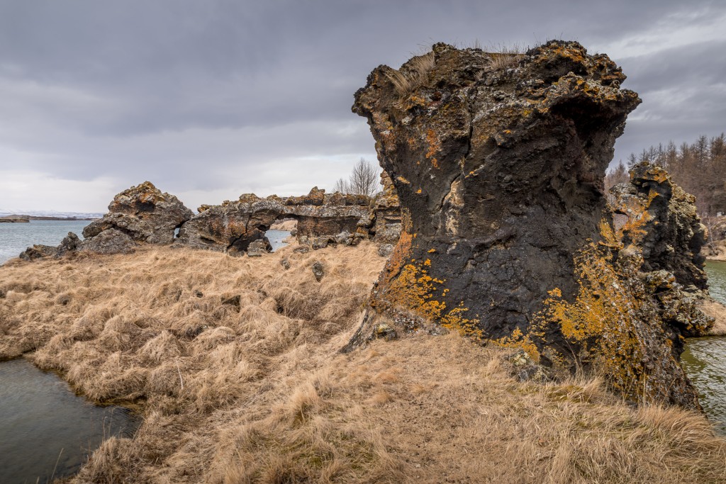 04-21-21-13.56.28.DNG