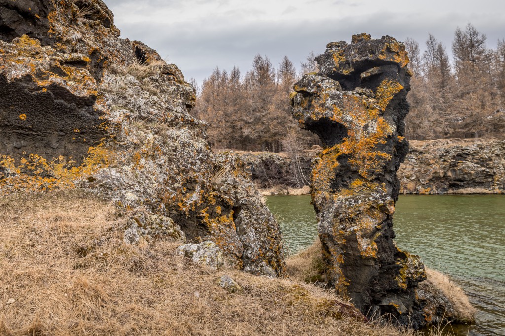 04-21-21-13.56.52.DNG