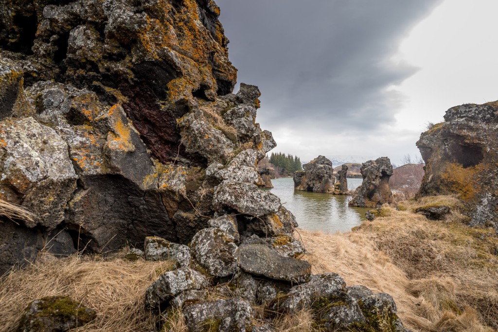 04-21-21-13.57.29.DNG