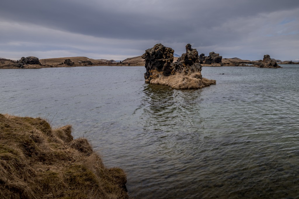 04-21-21-13.58.20.DNG