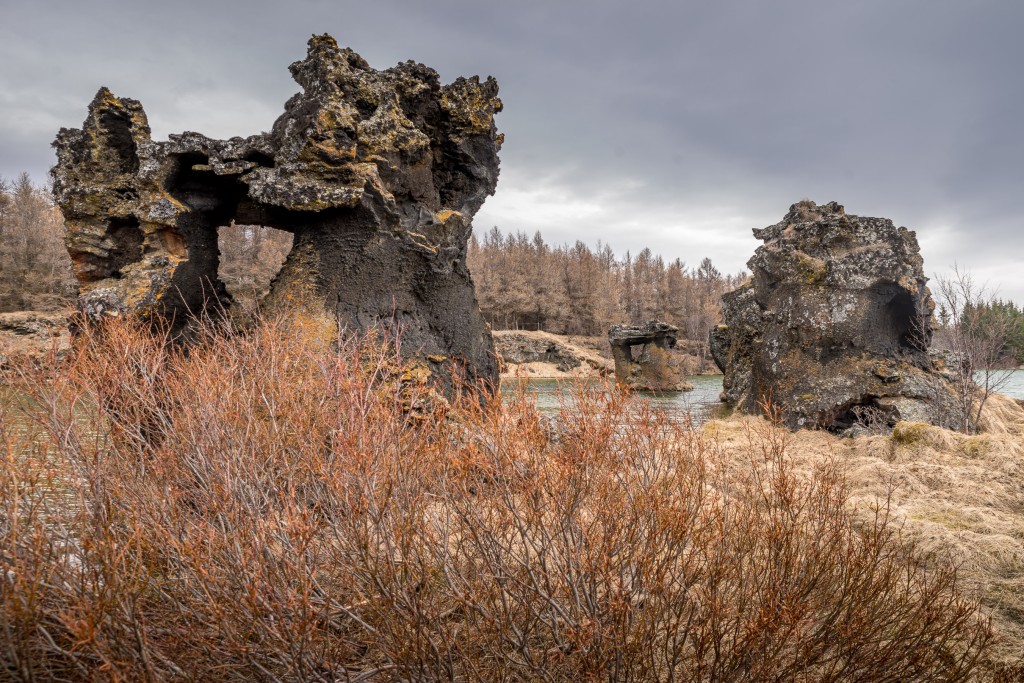 04-21-21-13.59.56.DNG