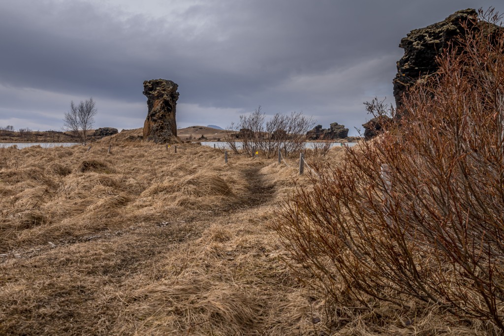 04-21-21-14.00.57.DNG