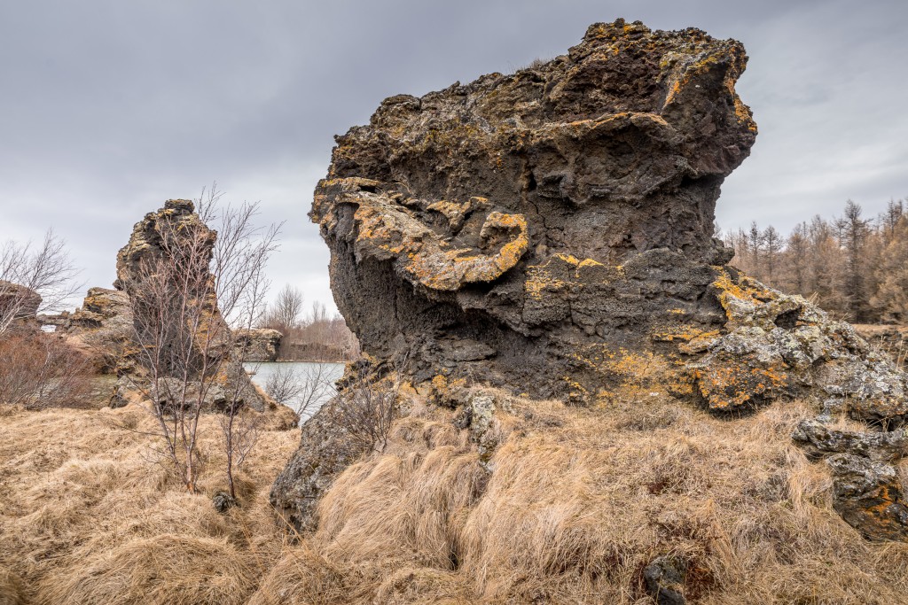 04-21-21-14.01.33.DNG