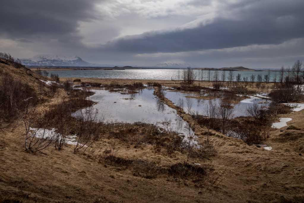 04-21-21-14.12.08.DNG