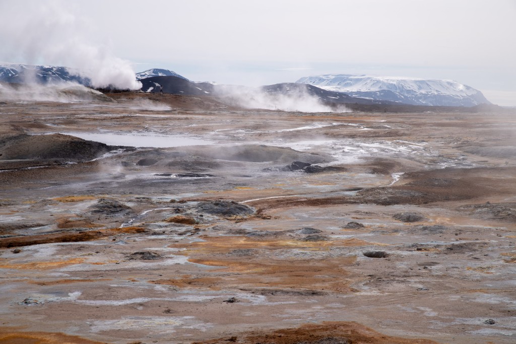 04-23-21-14.27.45.DNG