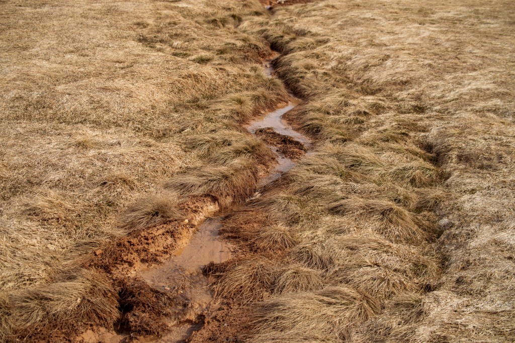 04-24-21-14.31.24.DNG