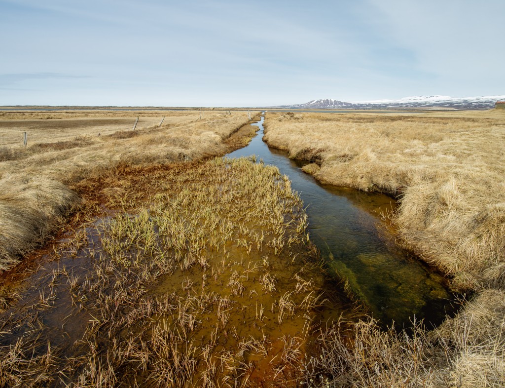 04-24-21-16.22.10.DNG