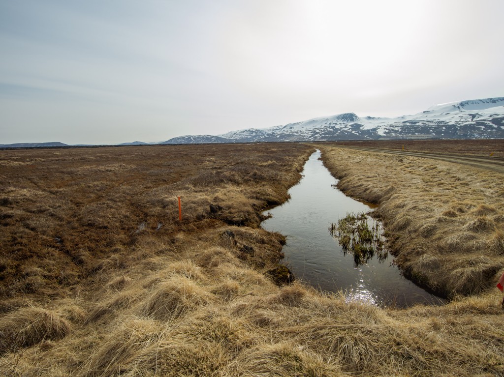 04-24-21-16.22.39.DNG