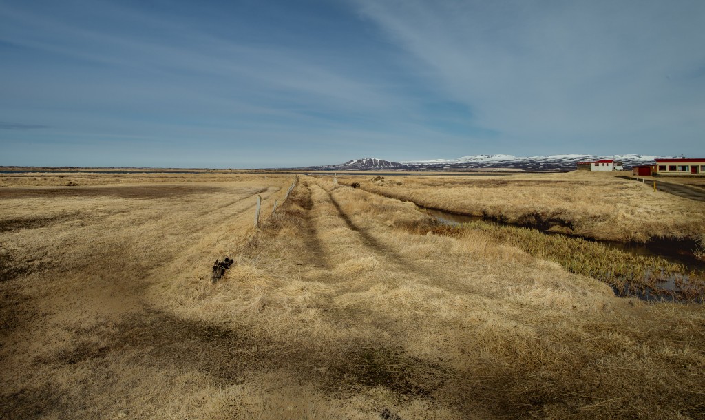 04-24-21-16.23.10.DNG