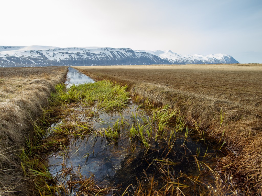 04-24-21-16.23.45.DNG