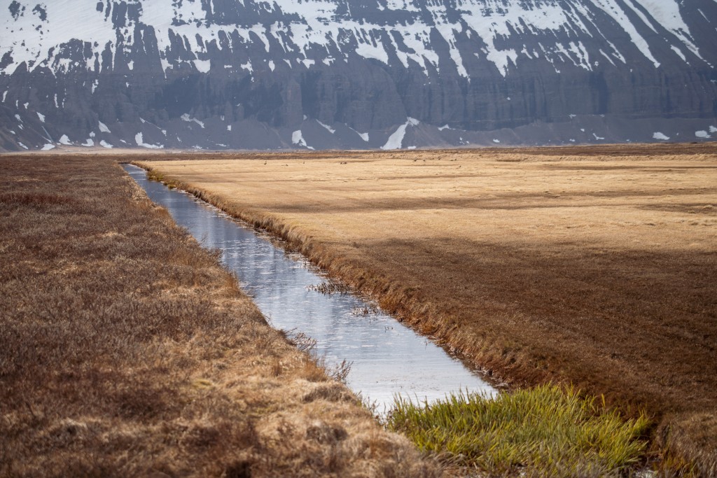 04-24-21-16.57.14.DNG