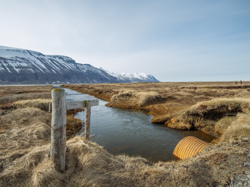 04-24-21-16.58.10.DNG