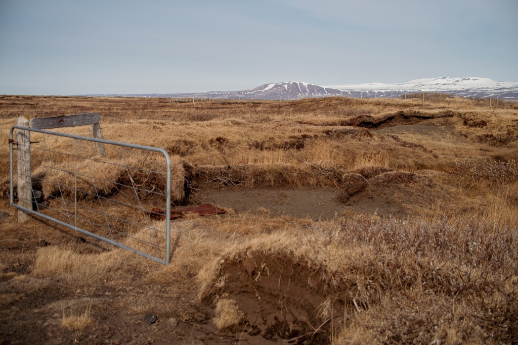 04-24-21-17.29.04.DNG