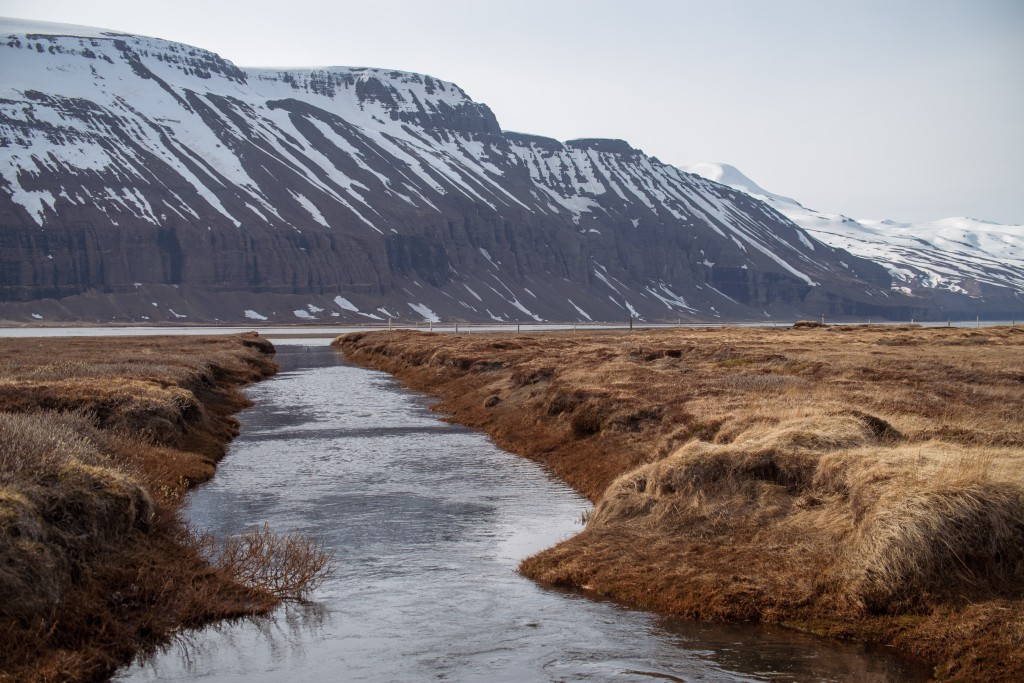 04-24-21-17.29.32.DNG