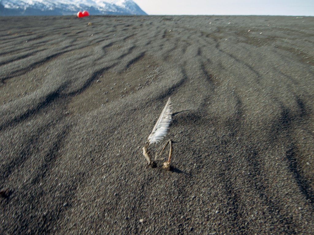 04-24-21-18.07.25.DNG