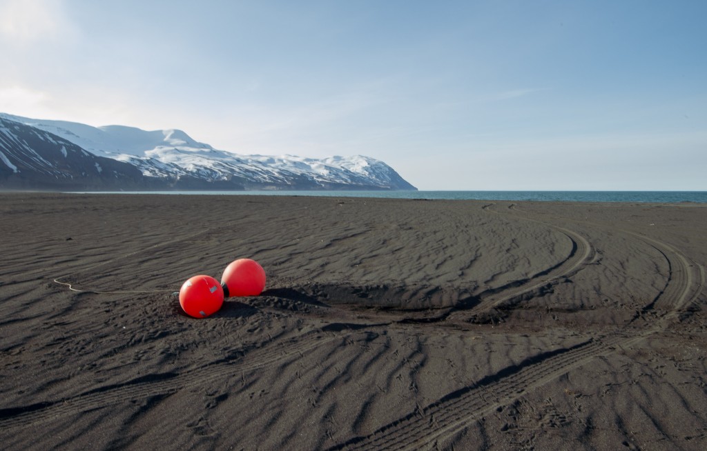 04-24-21-18.07.47.DNG