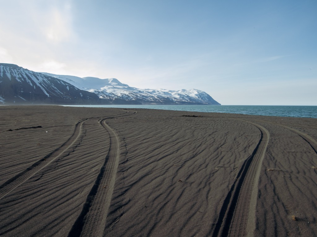 04-24-21-18.08.49.DNG