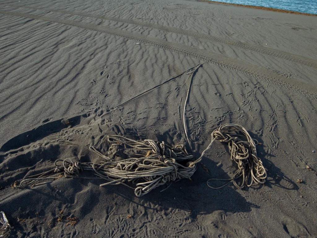 04-24-21-18.09.25.DNG