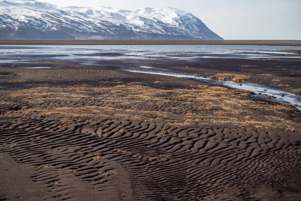 04-24-21-18.31.29.DNG