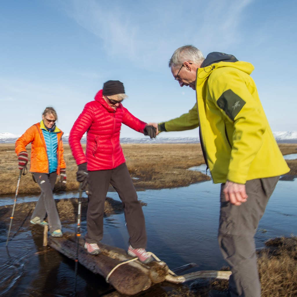 04-24-21-18.38.17.DNG