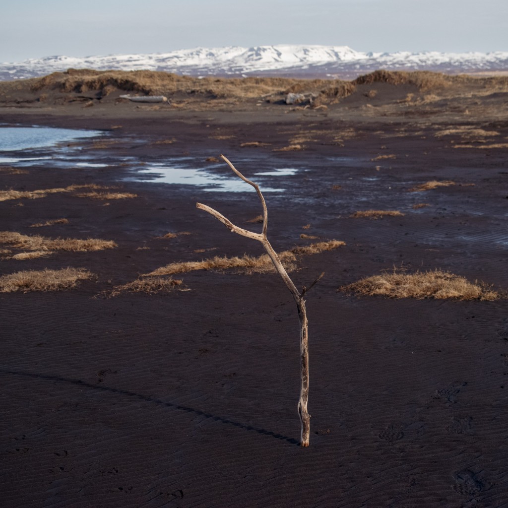 04-24-21-18.57.28.DNG