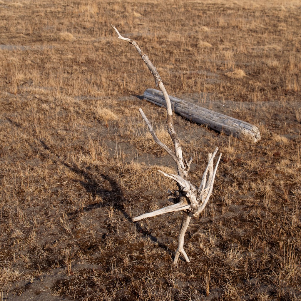 04-24-21-19.14.55.DNG